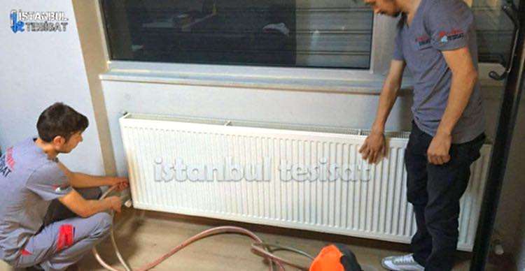 Petek Temizliği Kampanya Fiyatlar