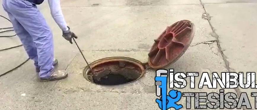 Pimaş