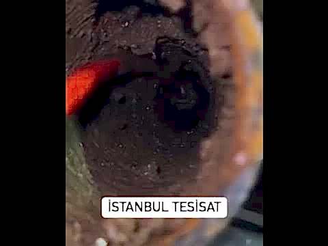 Büyükçekmece Mutfak borusu tıkalı sular geri geliyor robotla açan yer