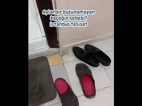 Pendik Teras yağmur borusu tıkalı tavanı su akıtıyor aletle bakan servis - İstanbul Tesisat